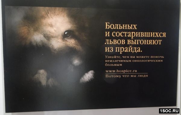 Лучшая социальная реклама России