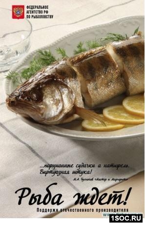 www.fishnews.ru