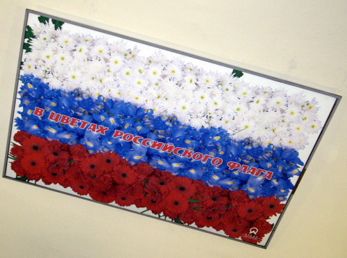 В цветах российского флага