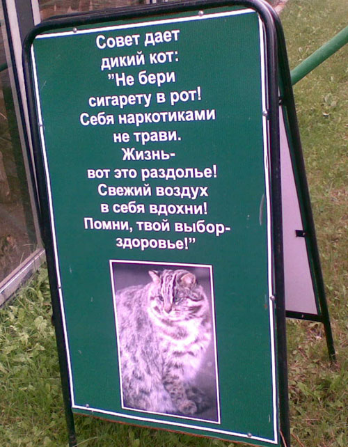 социальная реклама в красноярском зоопарке